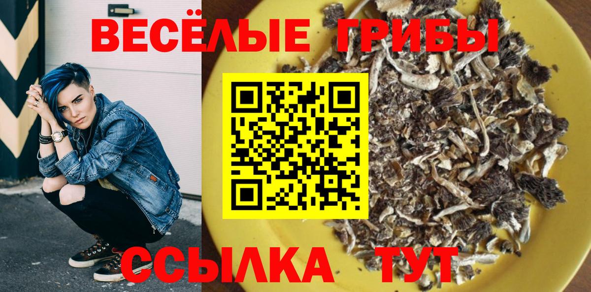 Галлюциногенные грибы MAGIC MUSHROOMS Чапаевск