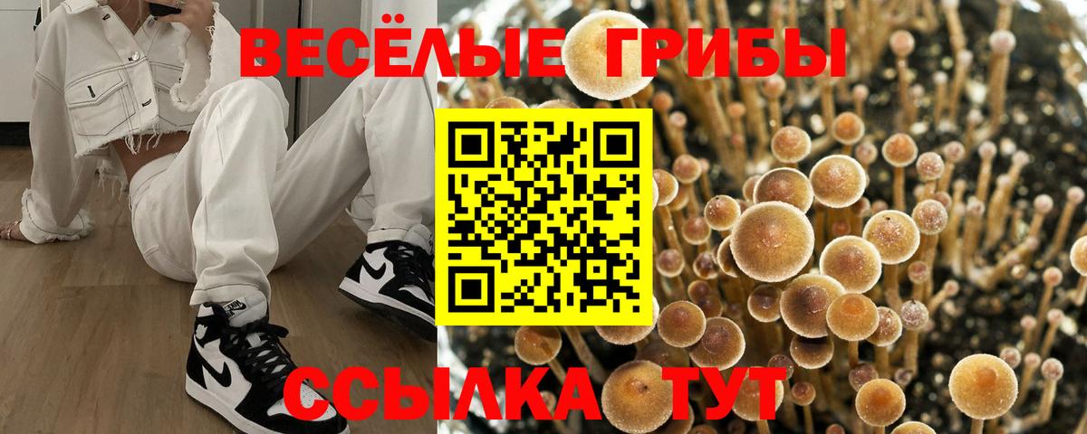 купить наркотики цена  Вход с VPN  Чапаевск  Галлюциногенные грибы мухоморы 